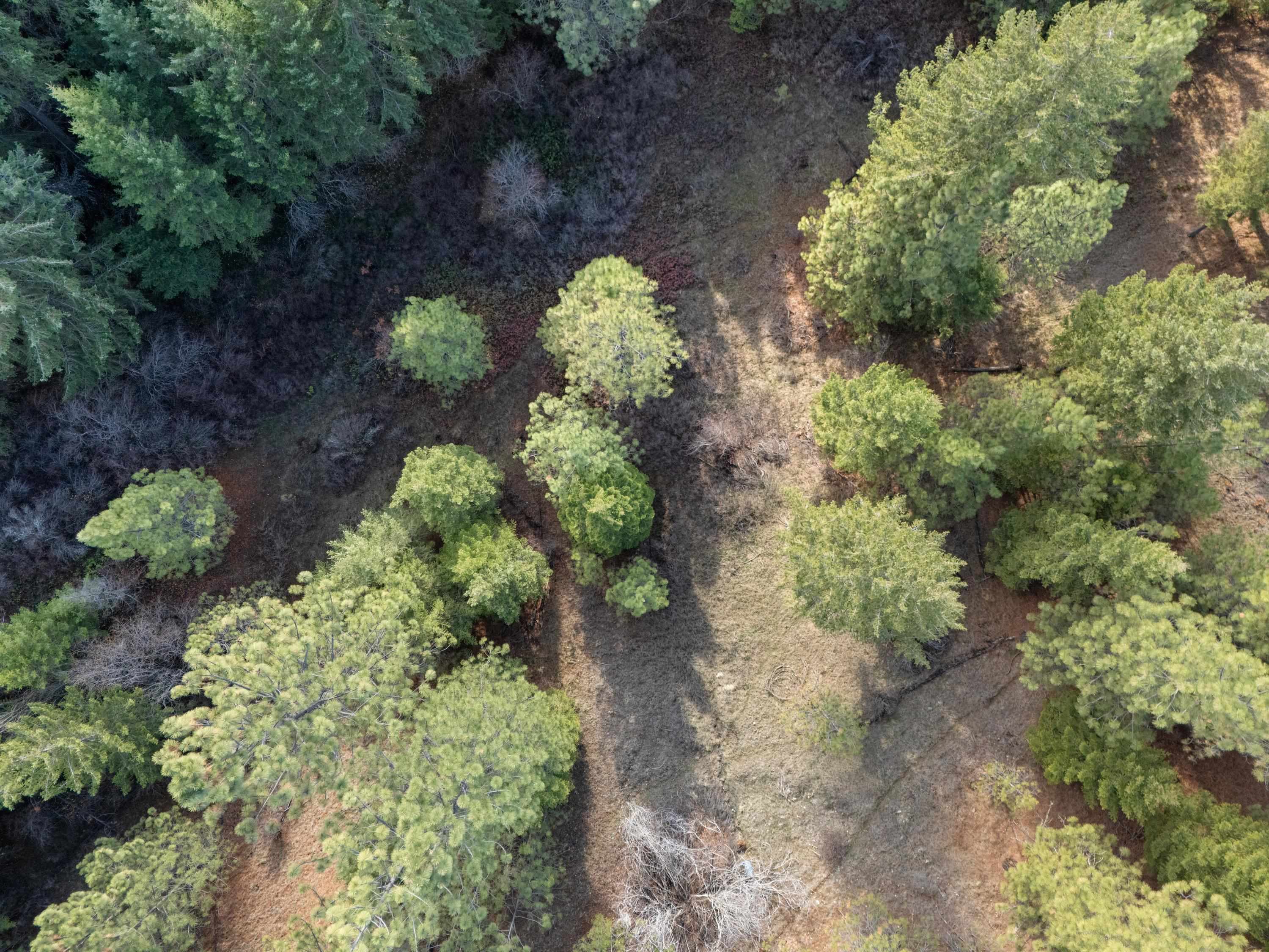 Xxxx East Vw Rdg Lane Spokane, WA 99206 - Photo 28 of 32