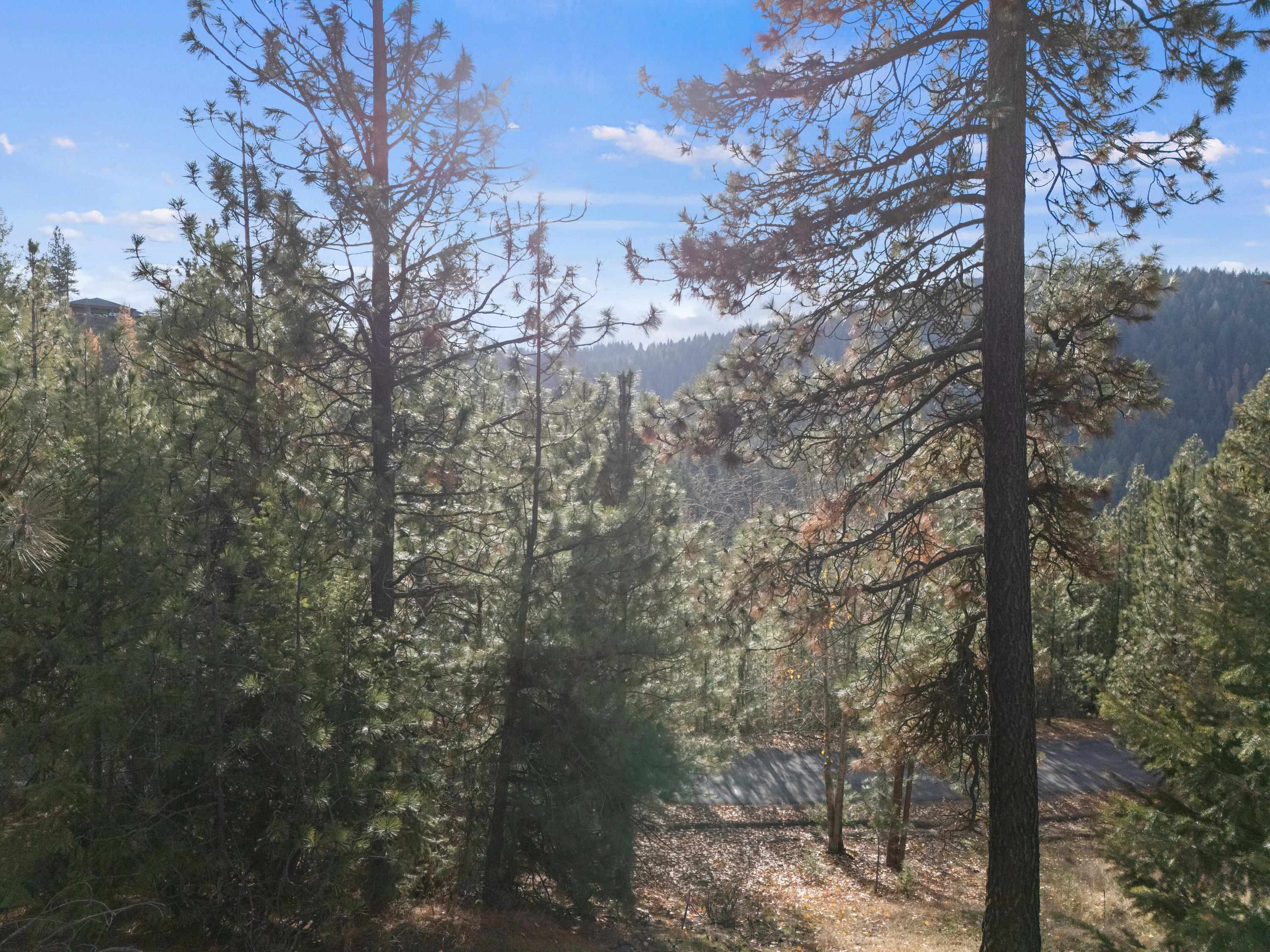 Xxxx East Vw Rdg Lane Spokane, WA 99206 - Photo 9 of 32