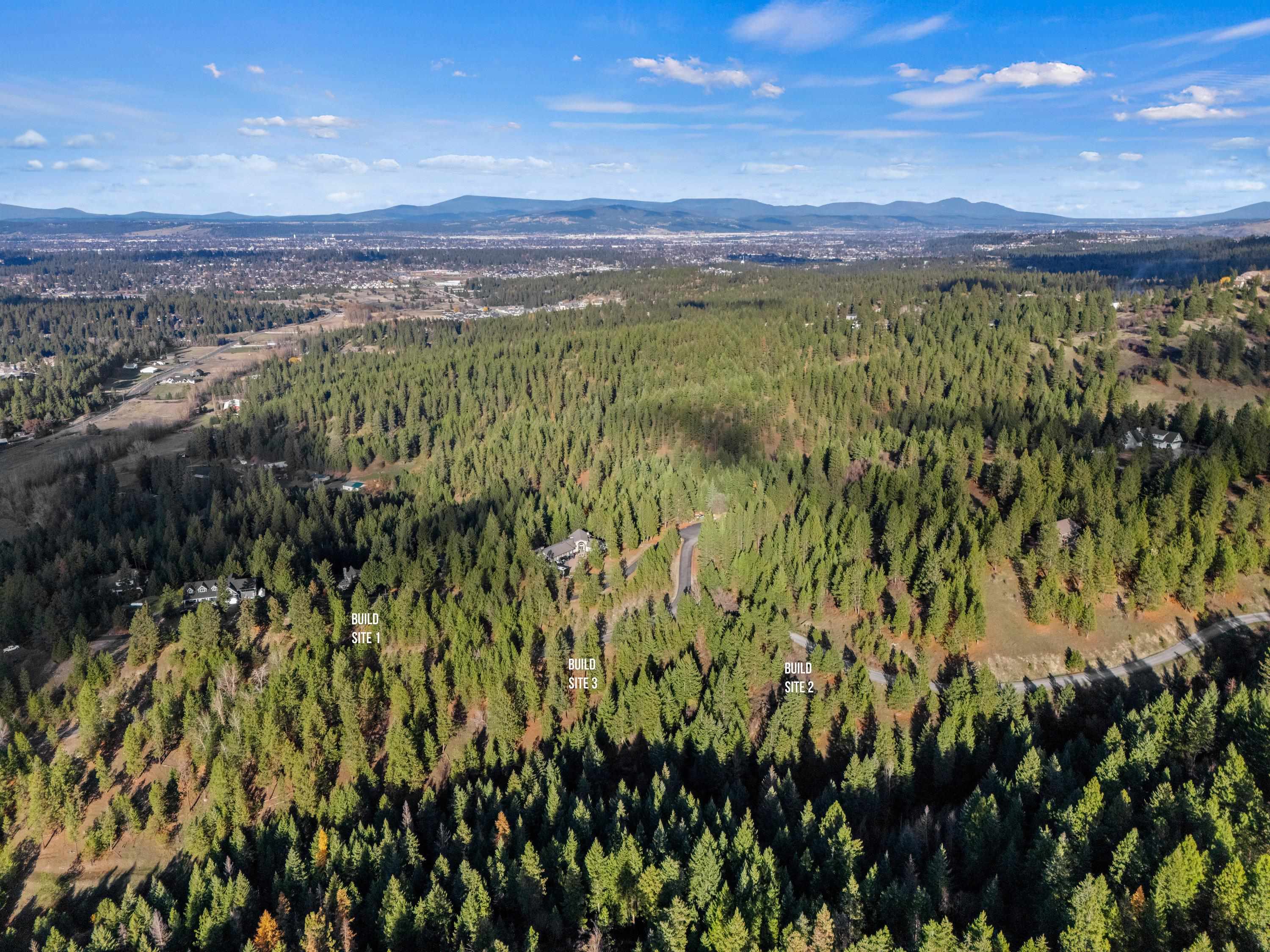 Xxxx East Vw Rdg Lane Spokane, WA 99206 - Photo 10 of 32