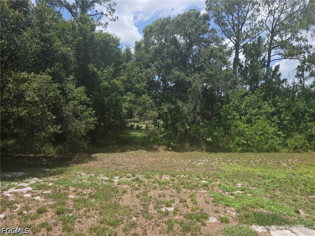 425 Tanner Road Felda, FL 33930 - Photo 14 of 16