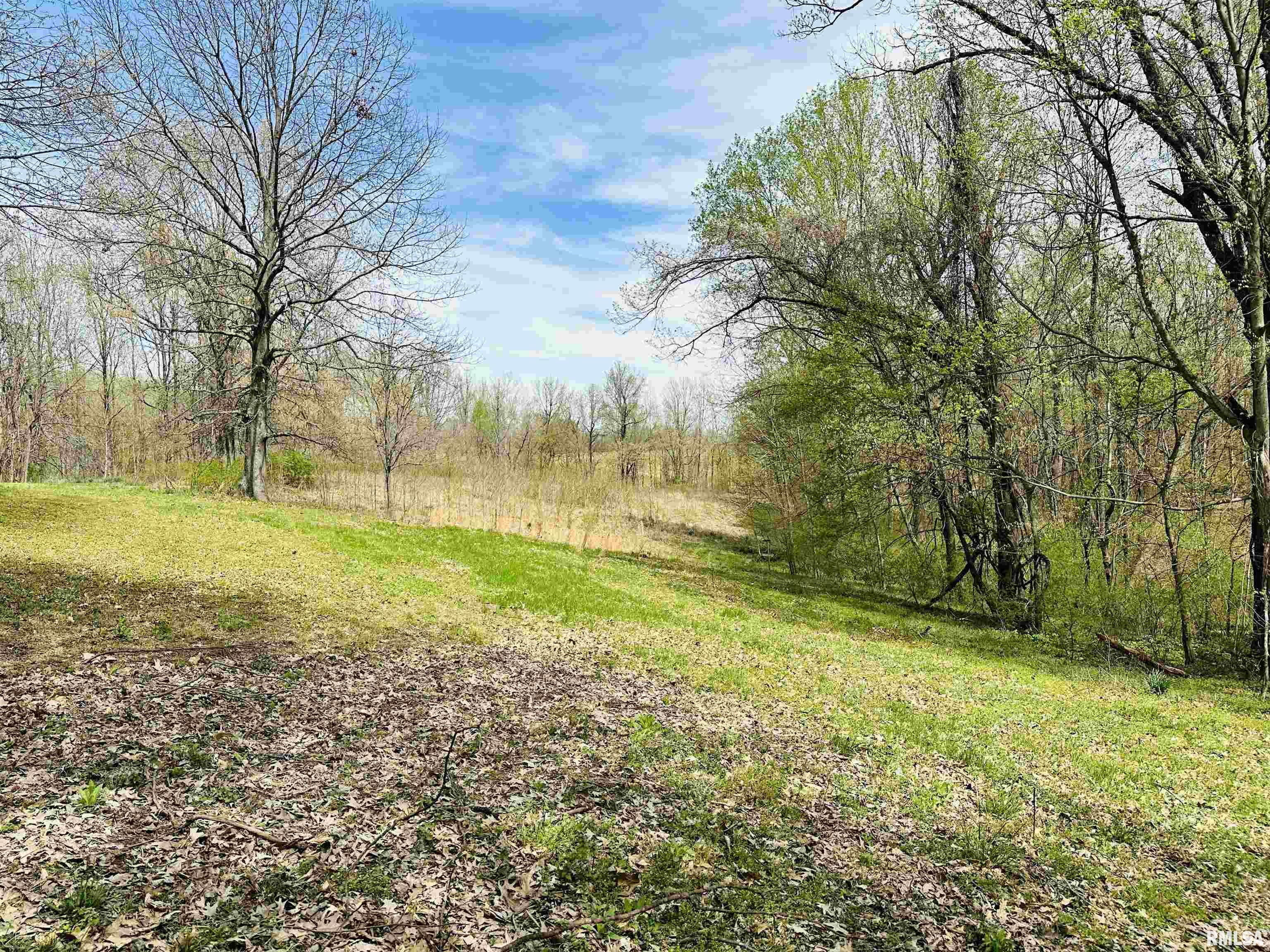3939 Olmsted Road Villa Ridge, IL 62996 - Photo 33 of 36