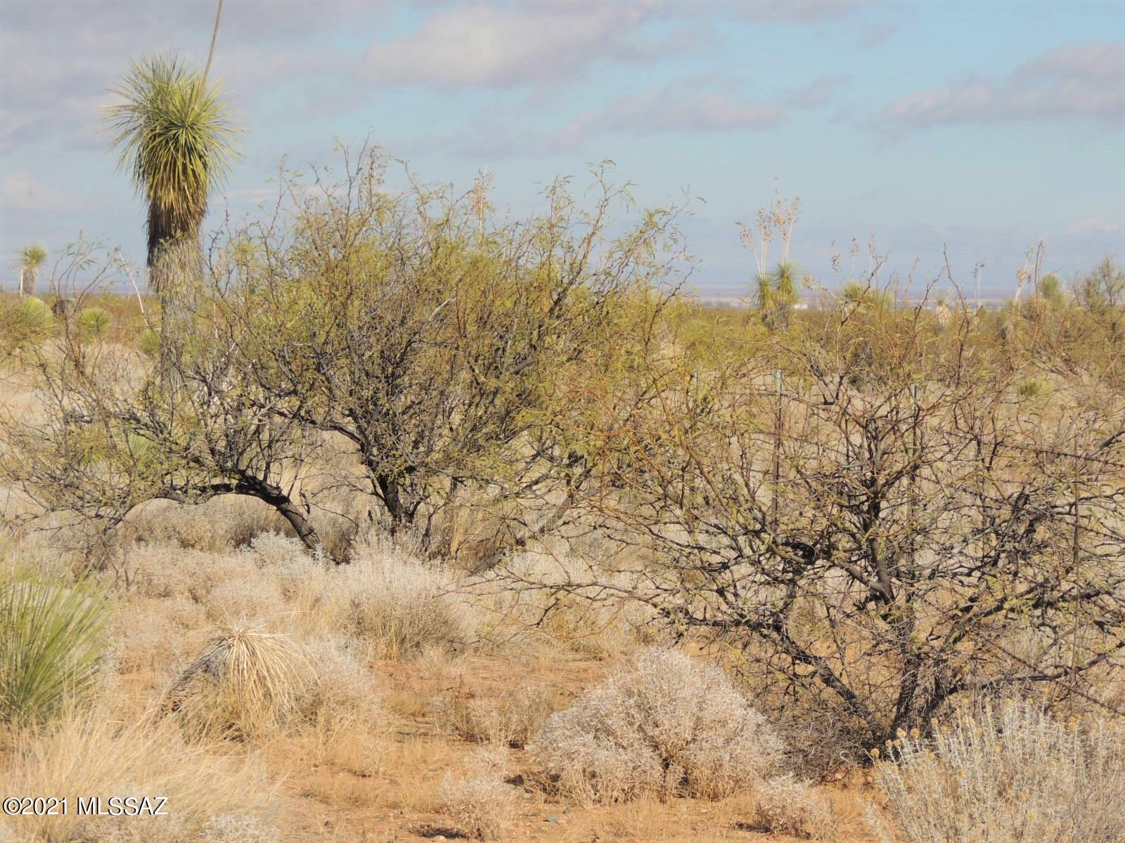 14.18 Acres Central Road, Unit 1A Pearce, AZ 85625 - Photo 8 of 9