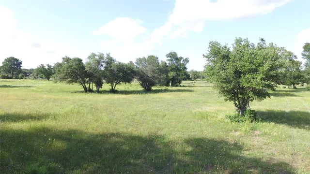a view of field with trees in background