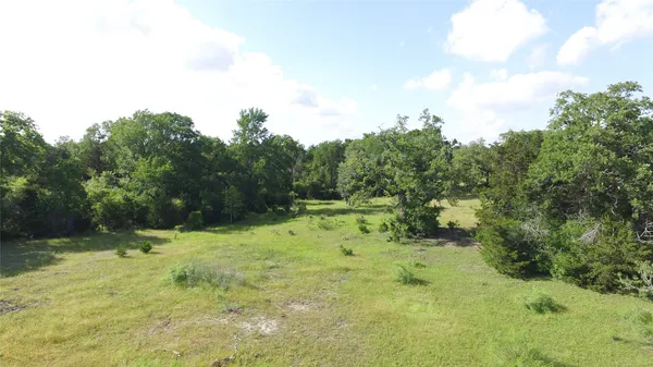 a view of a yard with large trees