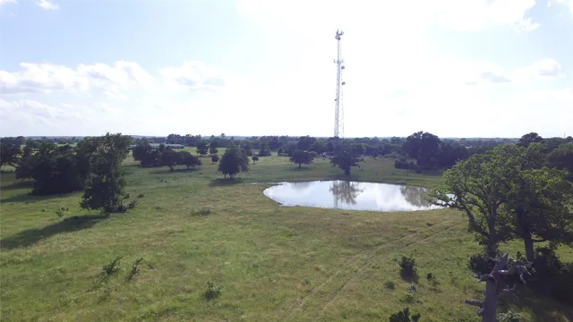 a view of a dry yard with large trees