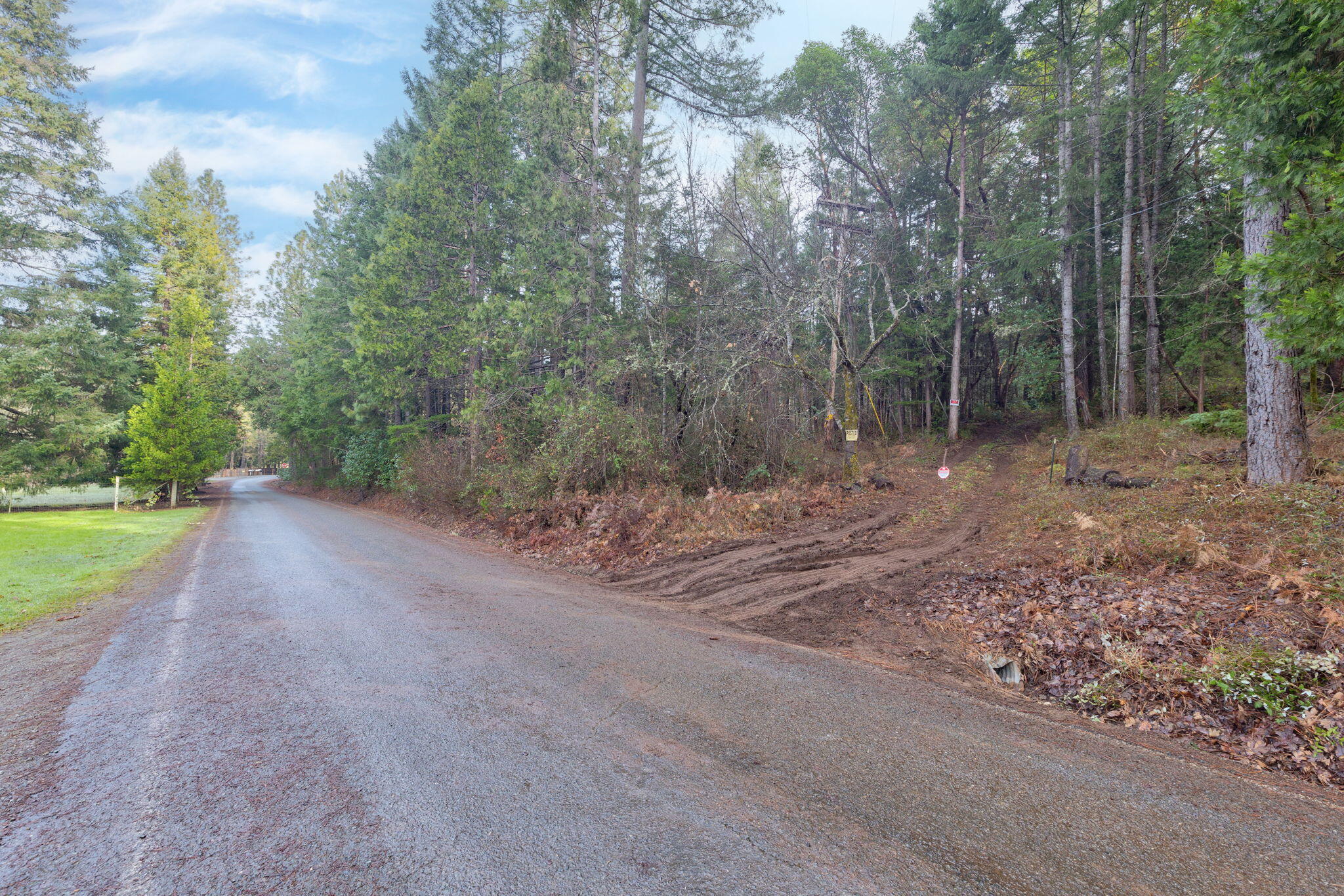 Old Stage Road Wolf Creek, OR 97497 - Photo 5 of 12 a view of a forest with trees in the background