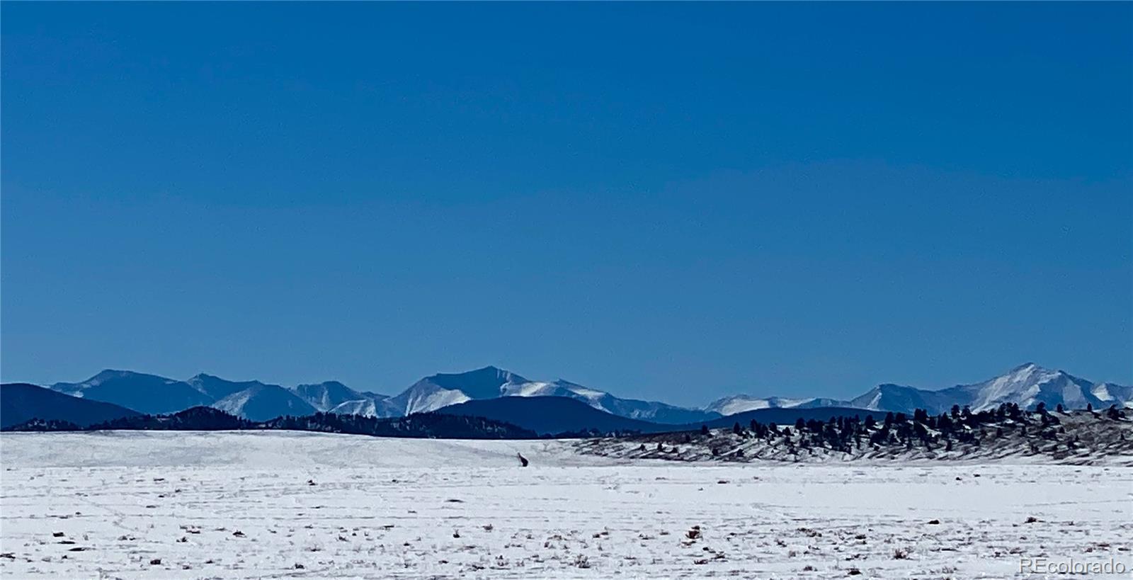 3571 Rio Blanco Road Hartsel, CO 80449 - Photo 16 of 33