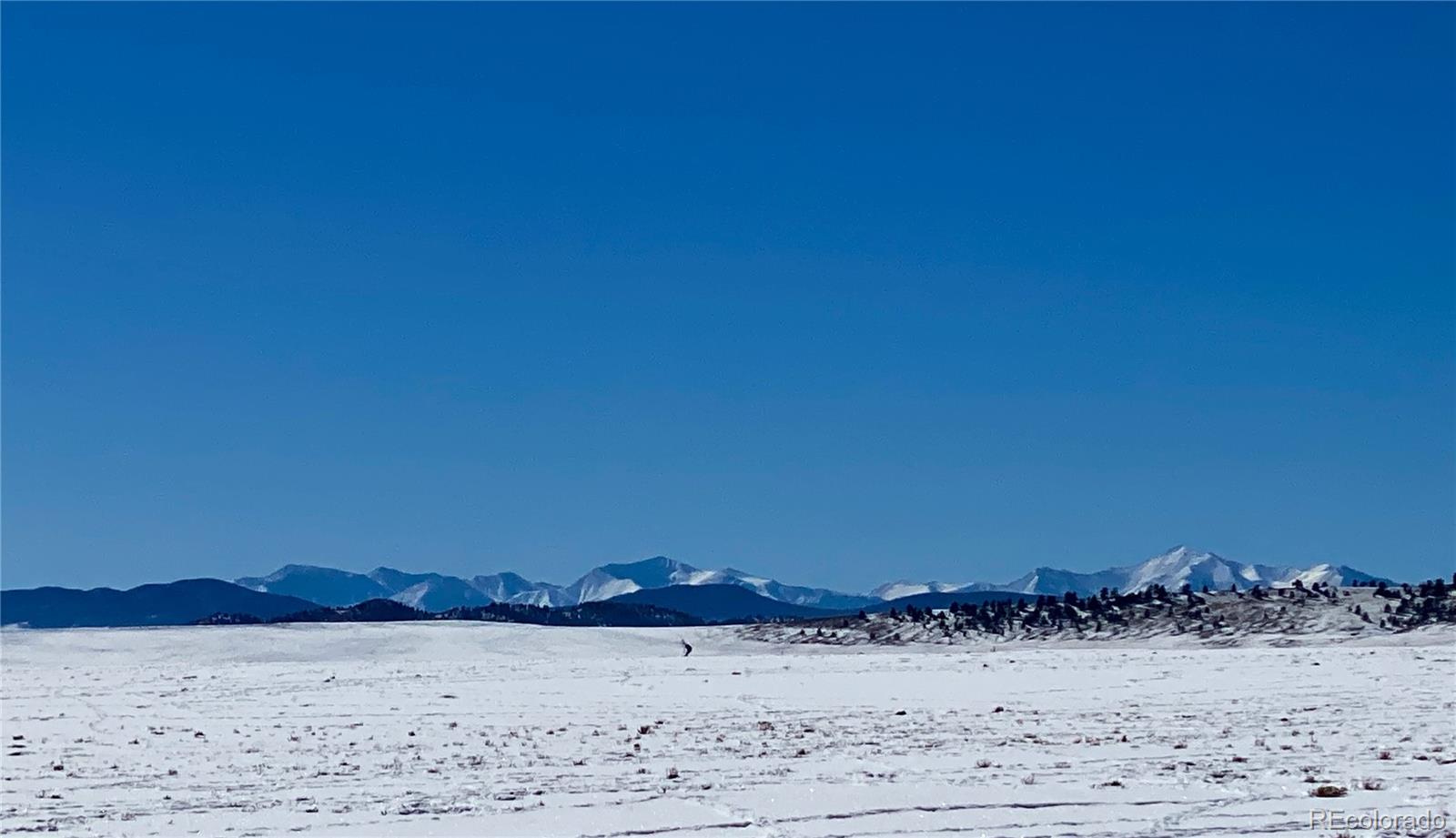 3571 Rio Blanco Road Hartsel, CO 80449 - Photo 8 of 33