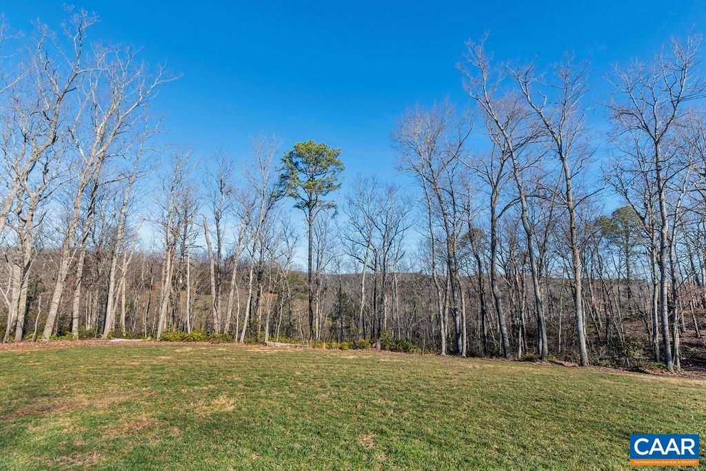 7920 Chestnut Grove Road Esmont, VA 22937 - Photo 32 of 34 a big yard with large trees