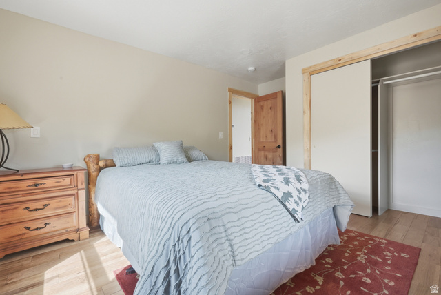 20 Q Puma Road Fairview, UT 84629 - Photo 13 of 27 Room featuring wood-finish flooring, a wood-frame sliding closet door with natural wood trim, and a solid wood interior door with black hardware