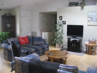 262 Angle Plantation Road Rocky Mount, VA 24151 - Photo 3 of 29 3 Living Room