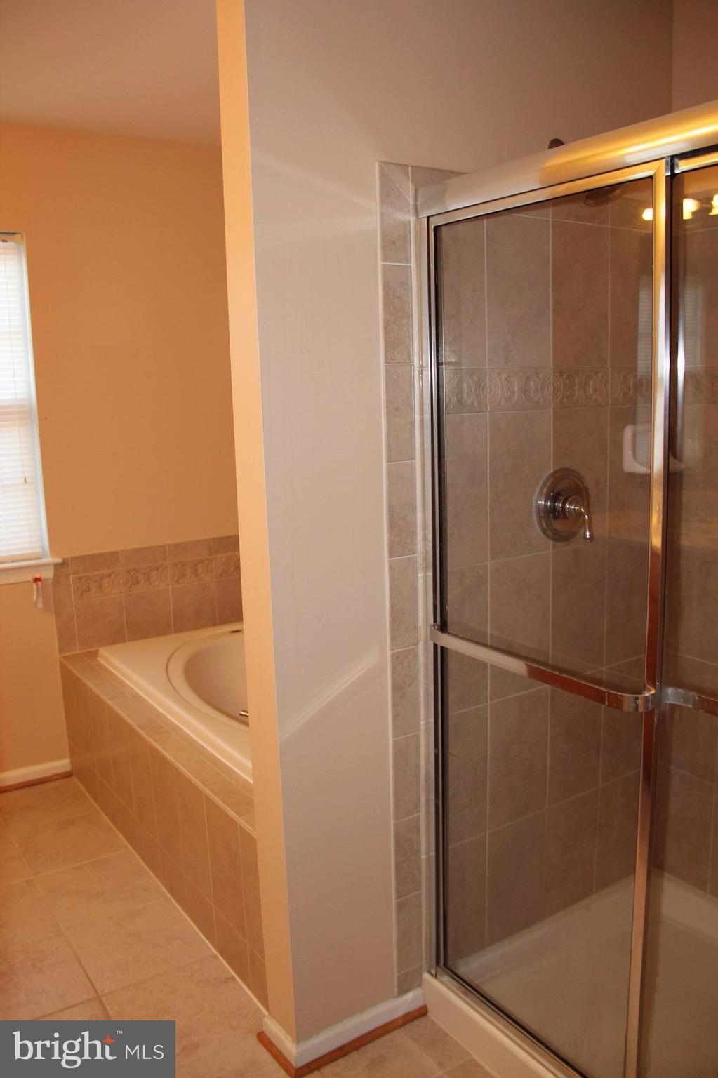 703 MacDill Road Baltimore, MD 21220 - Photo 14 of 26 Bath (Master)