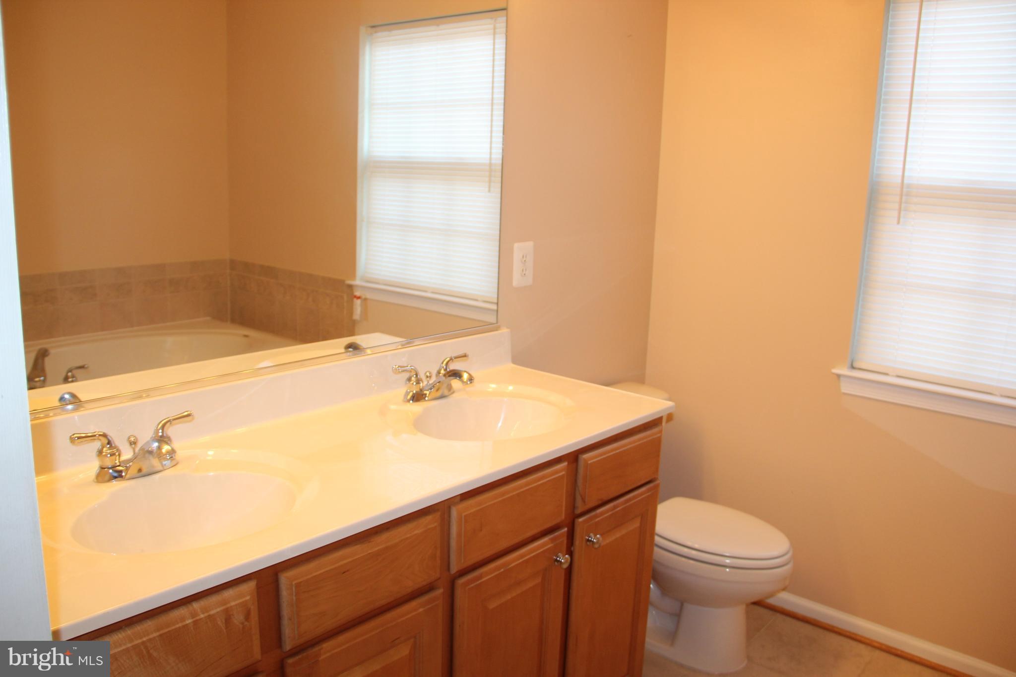 703 MacDill Road Baltimore, MD 21220 - Photo 15 of 26 Bath (Master)