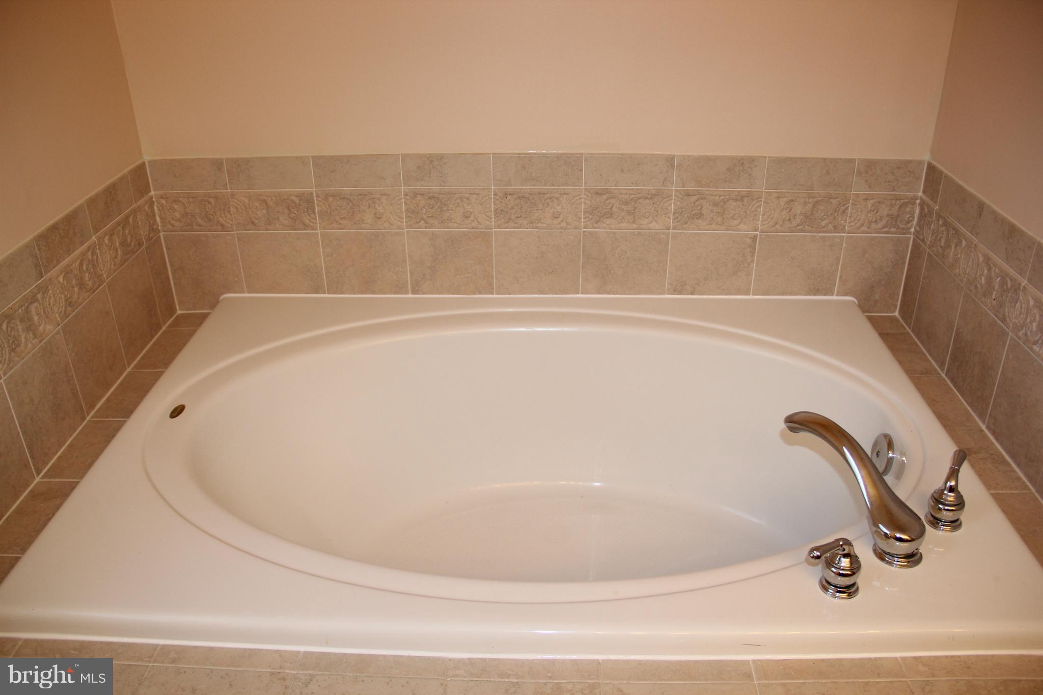703 MacDill Road Baltimore, MD 21220 - Photo 16 of 26 Bath (Master)