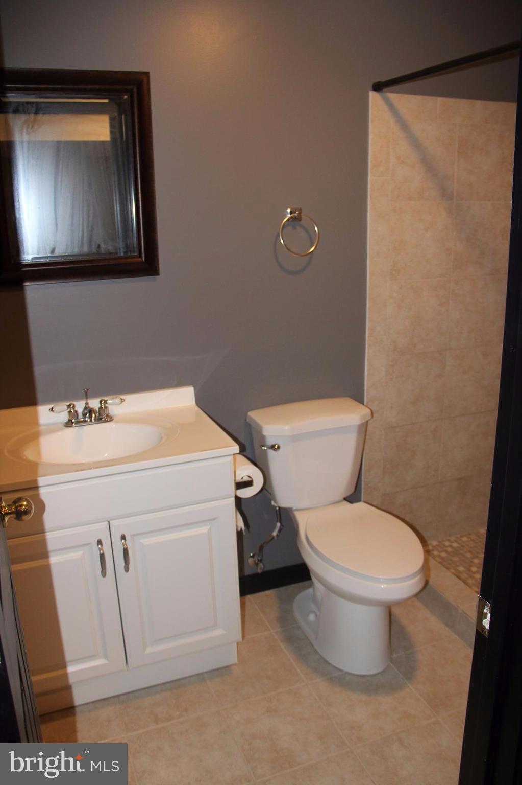 703 MacDill Road Baltimore, MD 21220 - Photo 22 of 26 Bath