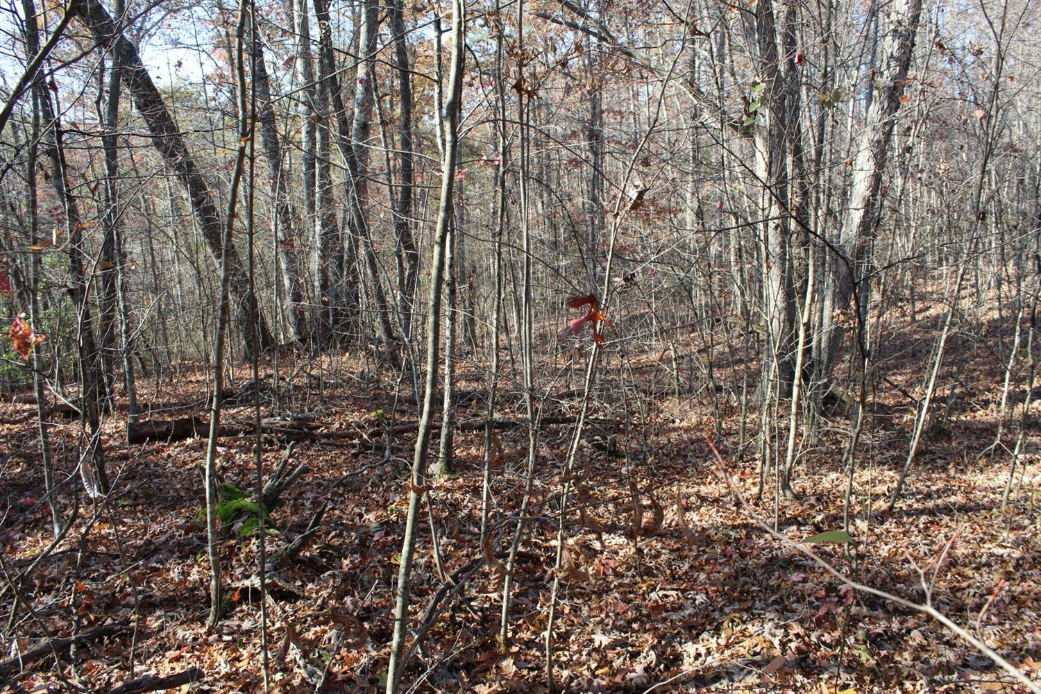 576 Angel Falls Road, Unit LOT18 Zoe, KY 41397 - Photo 8 of 24 Photo 8