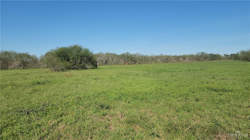 8569 Charles Green Road Edcouch, TX 78538 - Photo 19 of 22 a view of a lush green space and mountain view