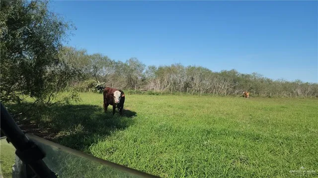 a lake view with a yard
