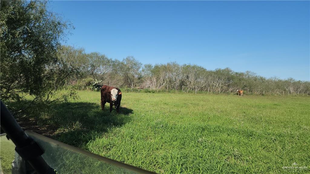 8569 Charles Green Road Edcouch, TX 78538 - Photo 20 of 22 a lake view with a yard
