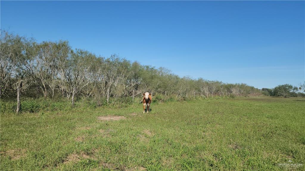 8569 Charles Green Road Edcouch, TX 78538 - Photo 21 of 22 a view of an outdoor space with a lake view