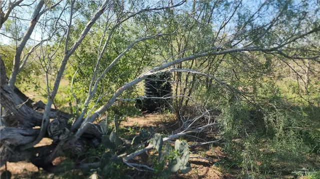a view of mountain with green space