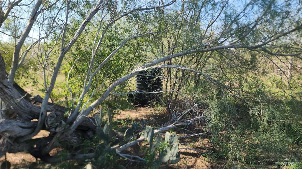 8569 Charles Green Road Edcouch, TX 78538 - Photo 22 of 22 a view of mountain with green space