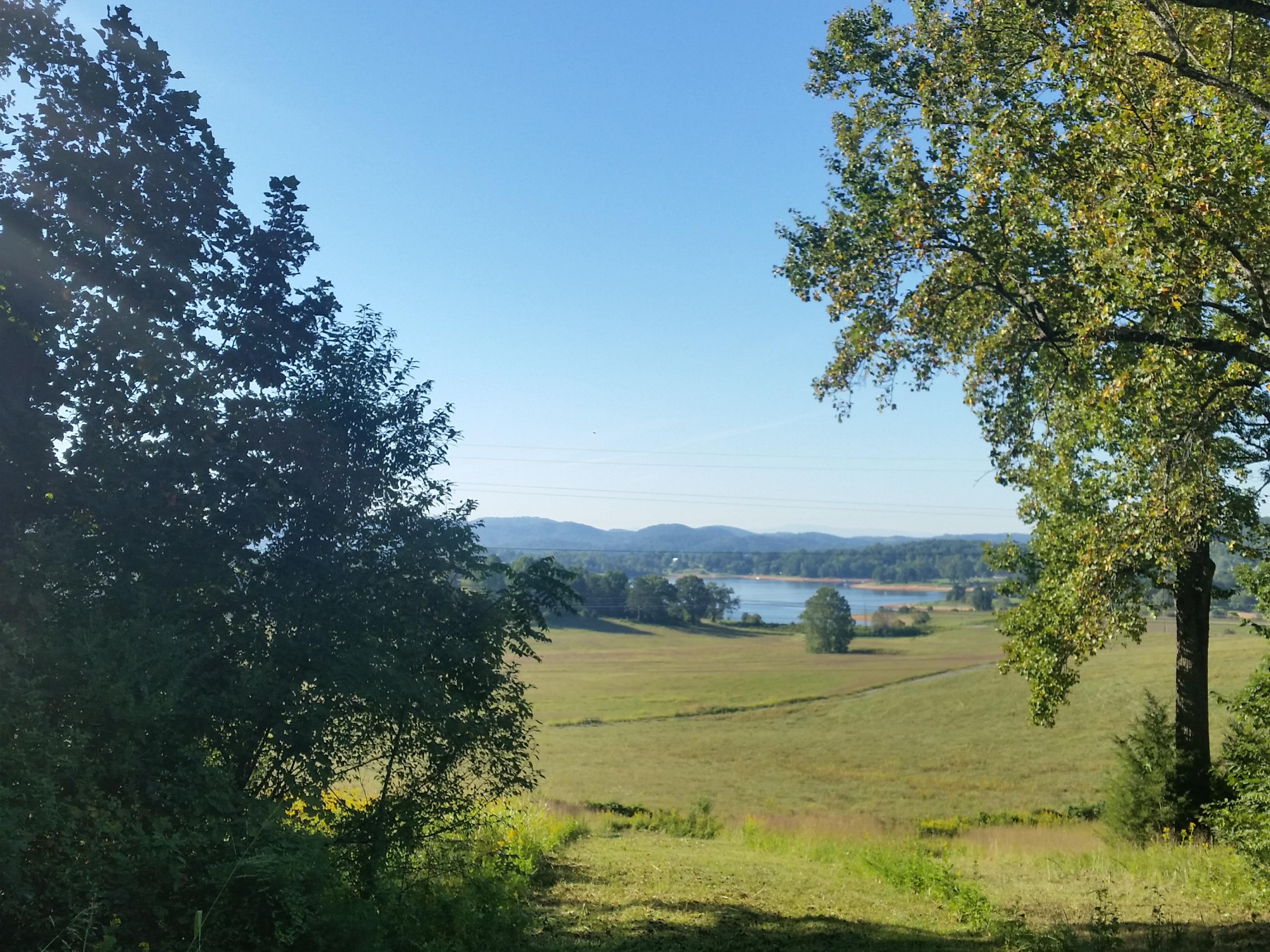 Lot 47 Strawberry Point Bean Station, TN 37708 - Photo 11 of 20 2015-09-15 09.45.01