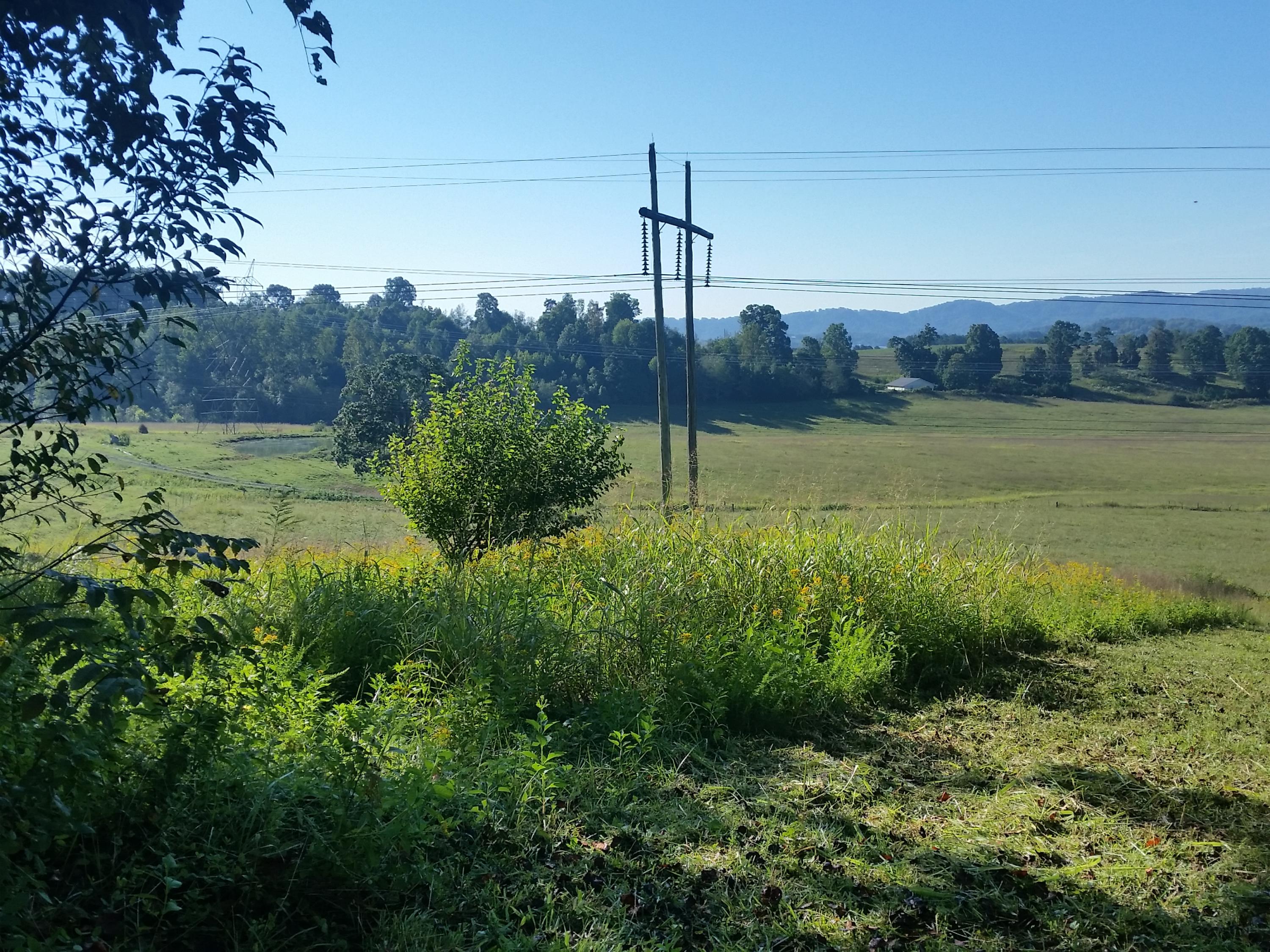 Lot 47 Strawberry Point Bean Station, TN 37708 - Photo 12 of 20 2015-09-15 09.45.30