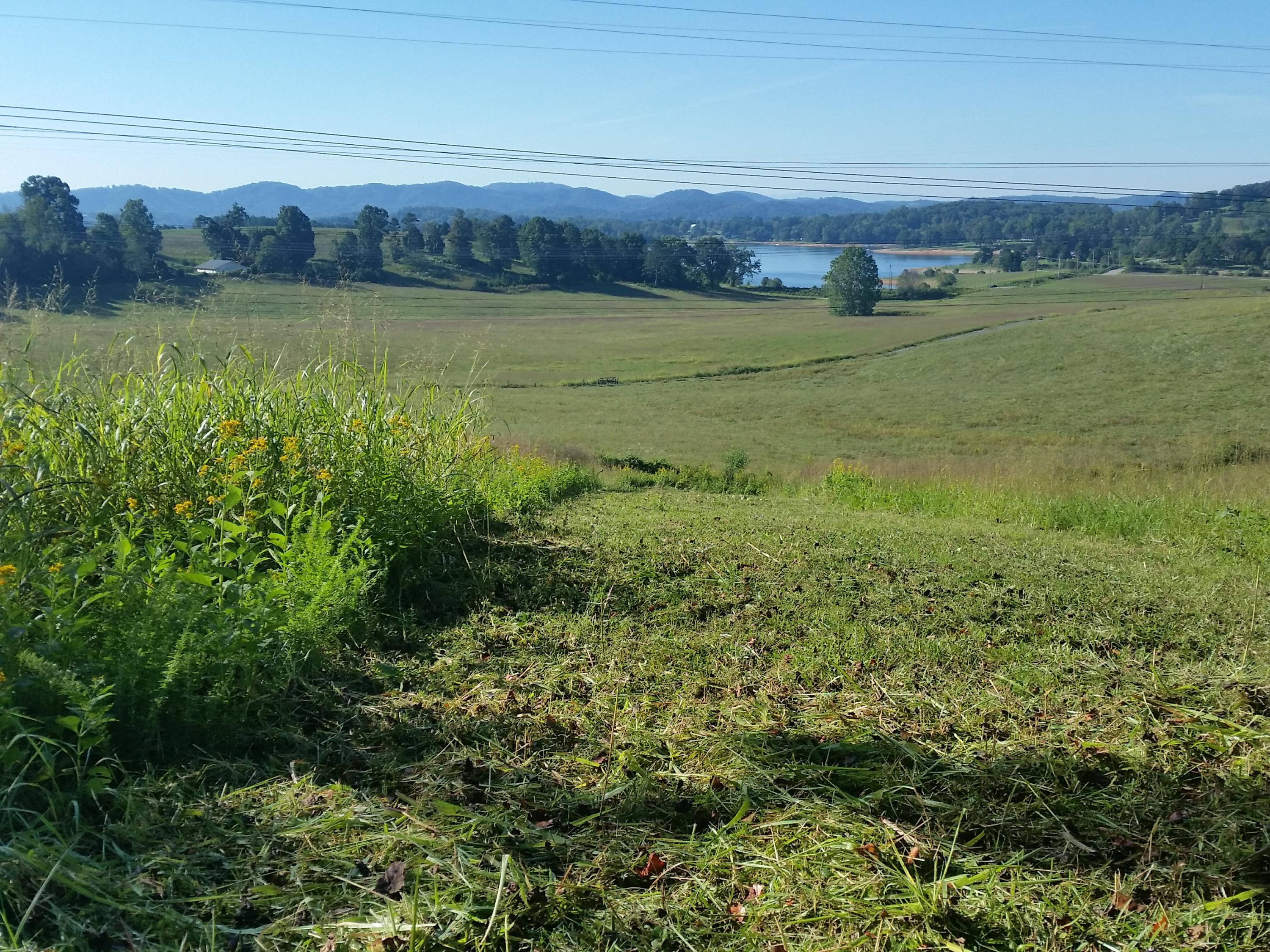 Lot 47 Strawberry Point Bean Station, TN 37708 - Photo 17 of 20 2015-09-15 09.45.57