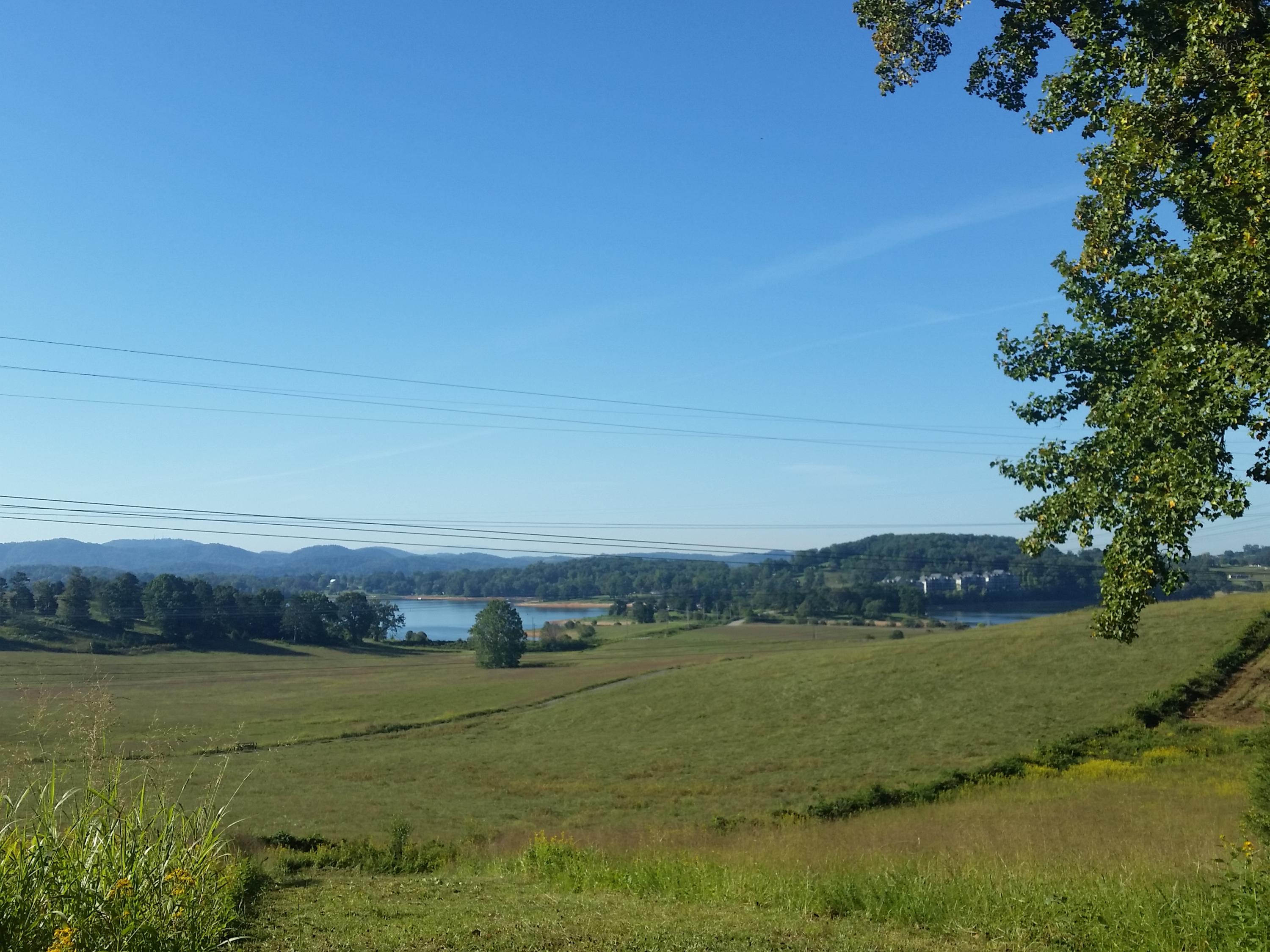 Lot 47 Strawberry Point Bean Station, TN 37708 - Photo 18 of 20 2015-09-15 09.46.06