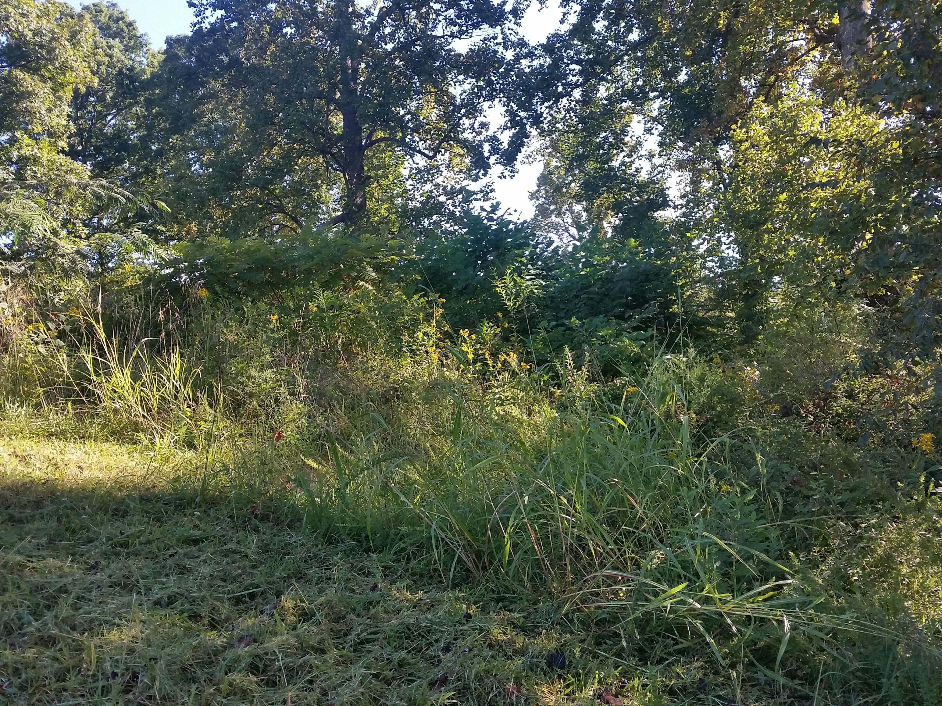 Lot 47 Strawberry Point Bean Station, TN 37708 - Photo 3 of 20 2015-09-15 09.46.57