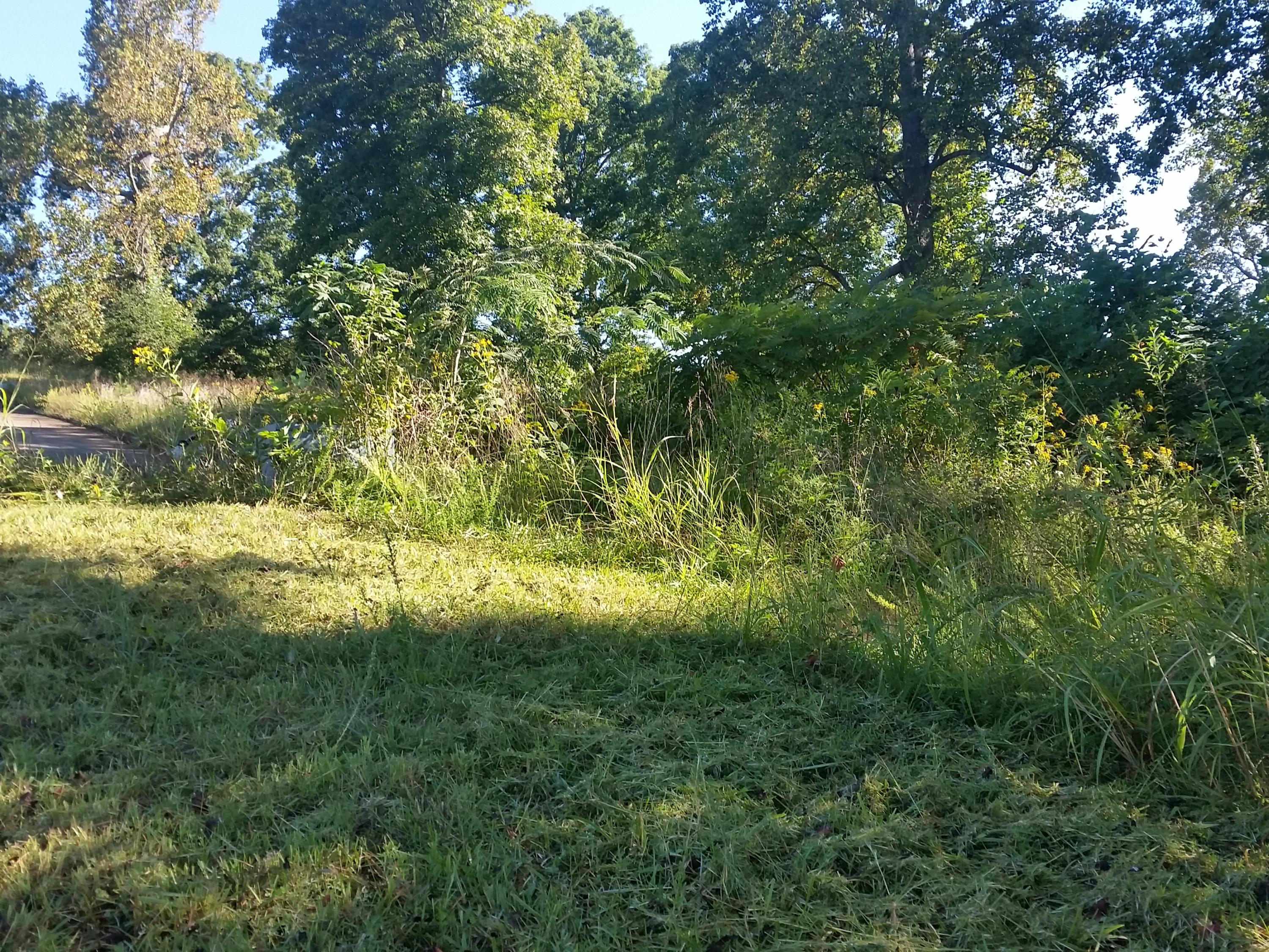 Lot 47 Strawberry Point Bean Station, TN 37708 - Photo 4 of 20 2015-09-15 09.47.01
