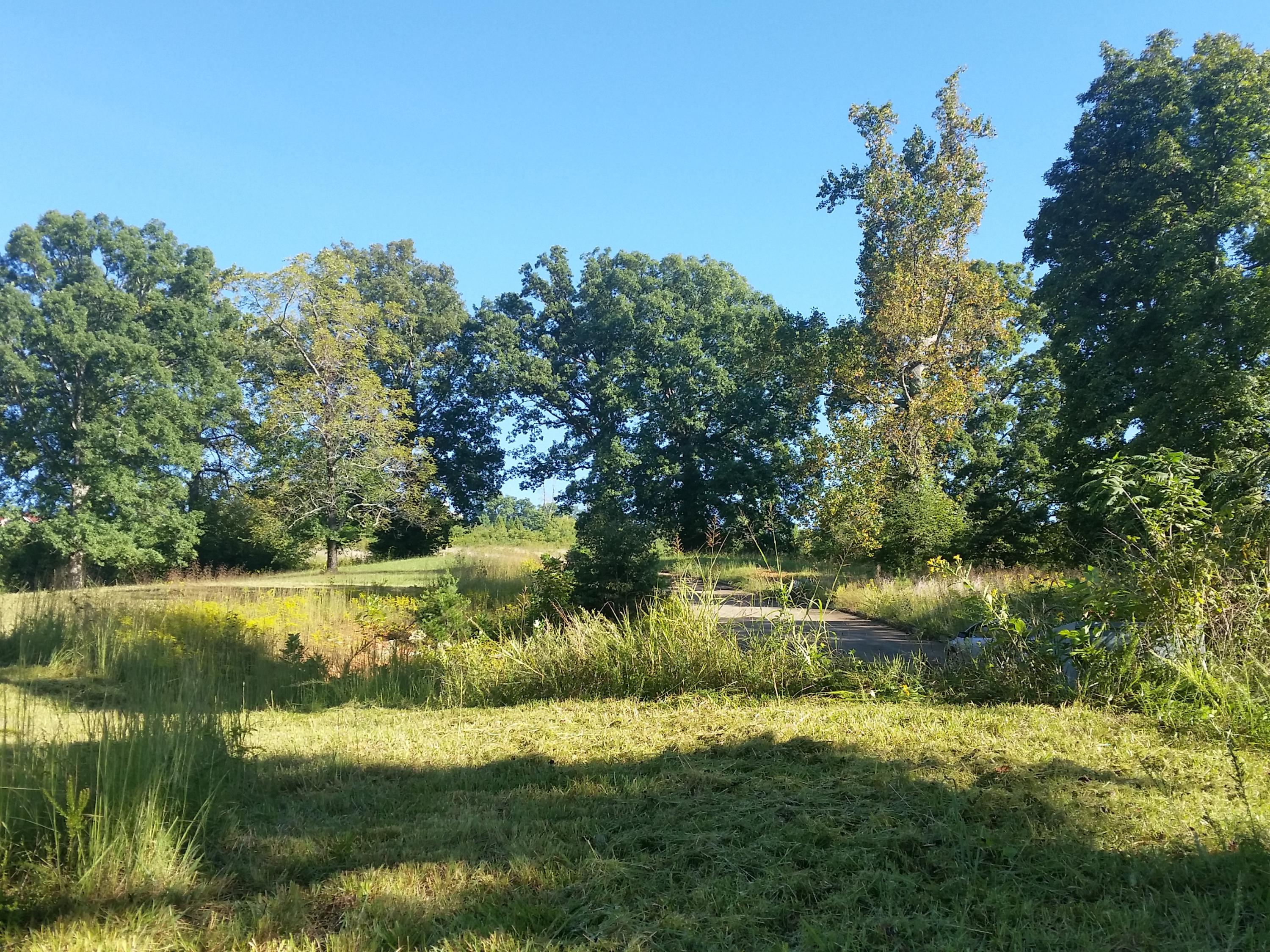 Lot 47 Strawberry Point Bean Station, TN 37708 - Photo 5 of 20 2015-09-15 09.47.03