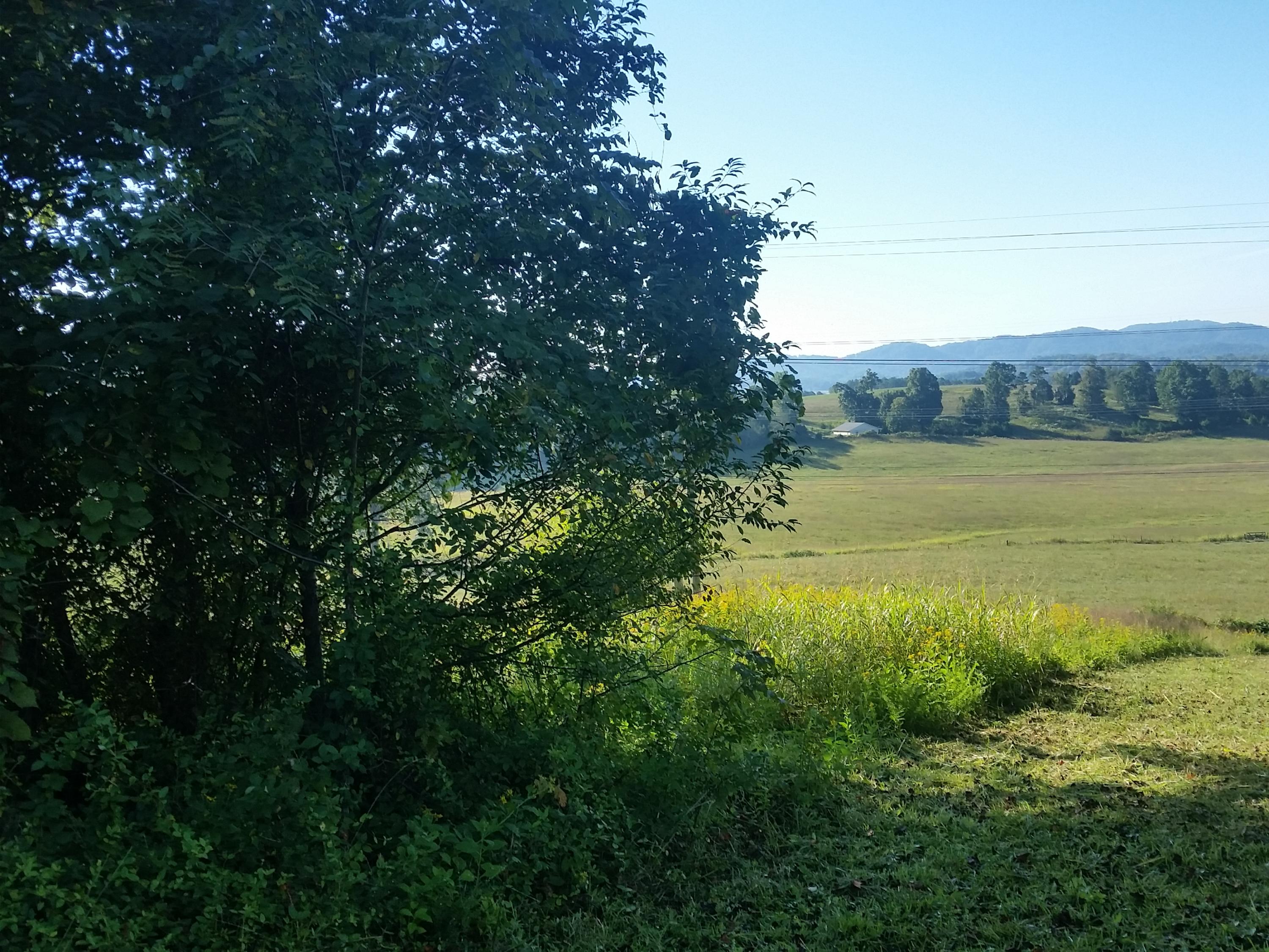 Lot 47 Strawberry Point Bean Station, TN 37708 - Photo 6 of 20 2015-09-15 09.47.06