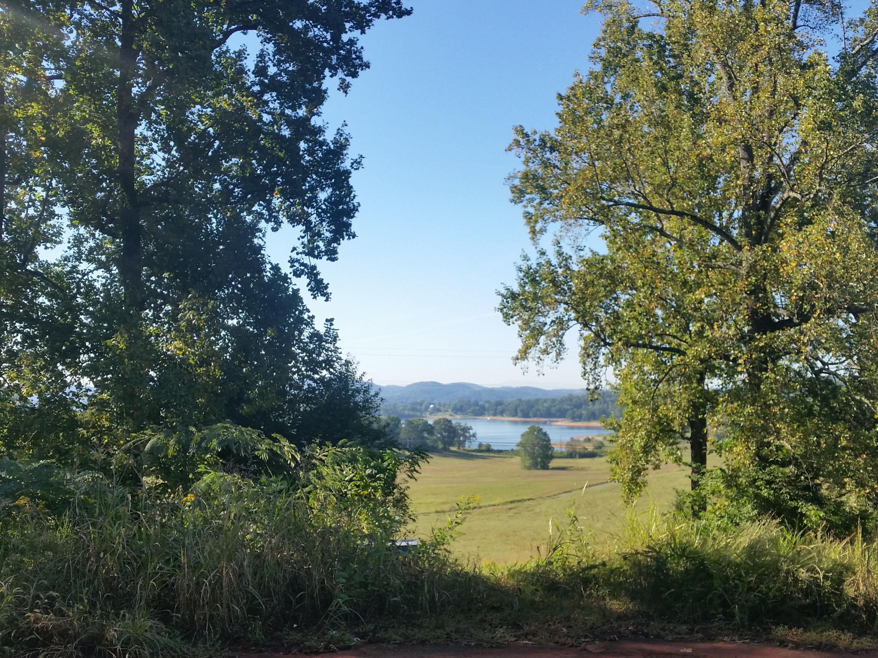 Lot 47 Strawberry Point Bean Station, TN 37708 - Photo 7 of 20 2015-09-15 09.44.20