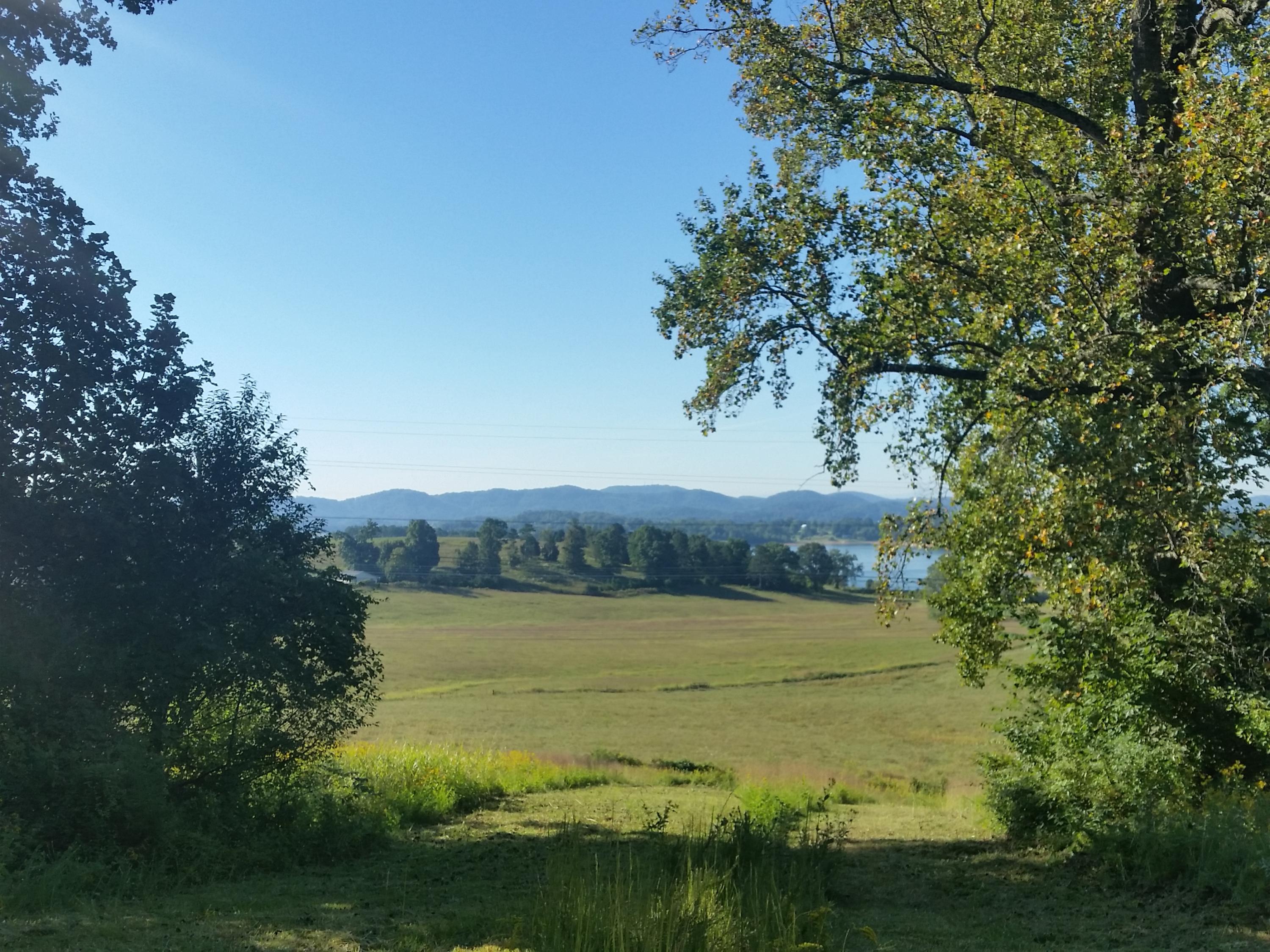 Lot 47 Strawberry Point Bean Station, TN 37708 - Photo 10 of 20 2015-09-15 09.44.47