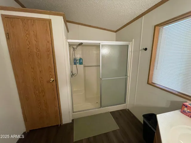 a bathroom with a shower and a sink