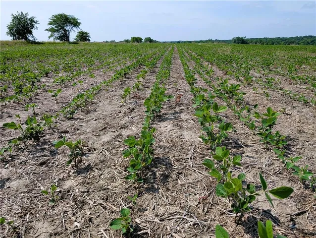 $1,904,000 | East 360th Street, Gilman City, MO 64642