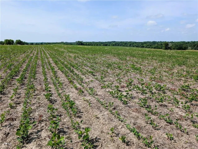 $1,904,000 | East 360th Street, Gilman City, MO 64642