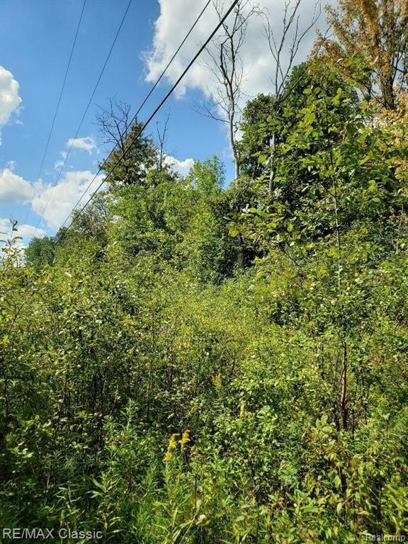 50140 West 9 Mile Road Novi, MI 48374 - Photo 23 of 27 Gallery Image 23
