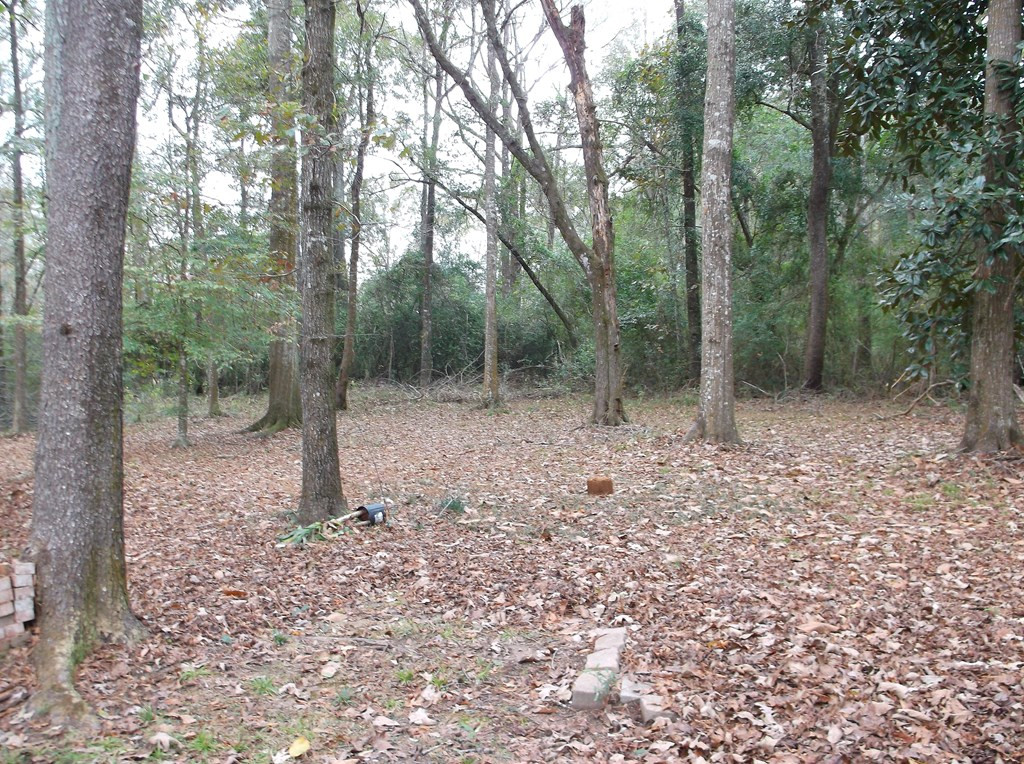 6137 Upper Glading Road Summit, MS 39666 - Photo 3 of 22 Photo 3
