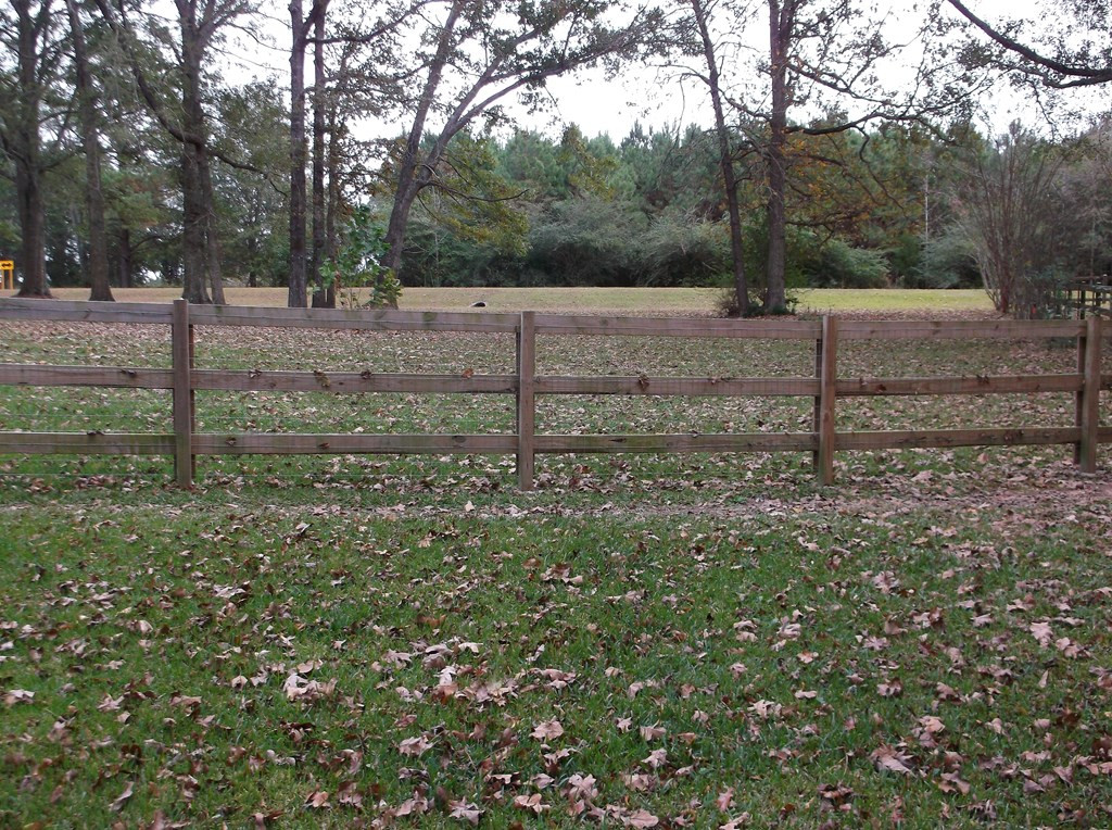 6137 Upper Glading Road Summit, MS 39666 - Photo 4 of 22 Photo 4