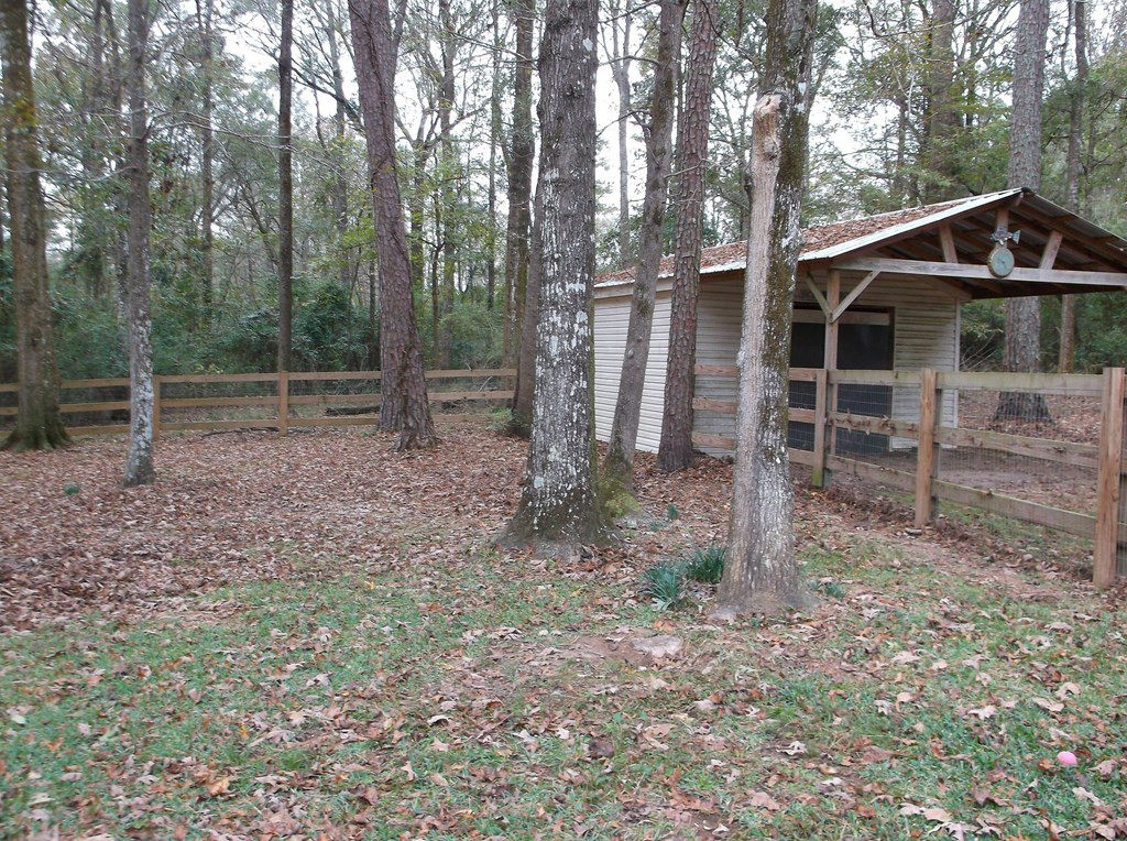 6137 Upper Glading Road Summit, MS 39666 - Photo 7 of 22 Photo 7