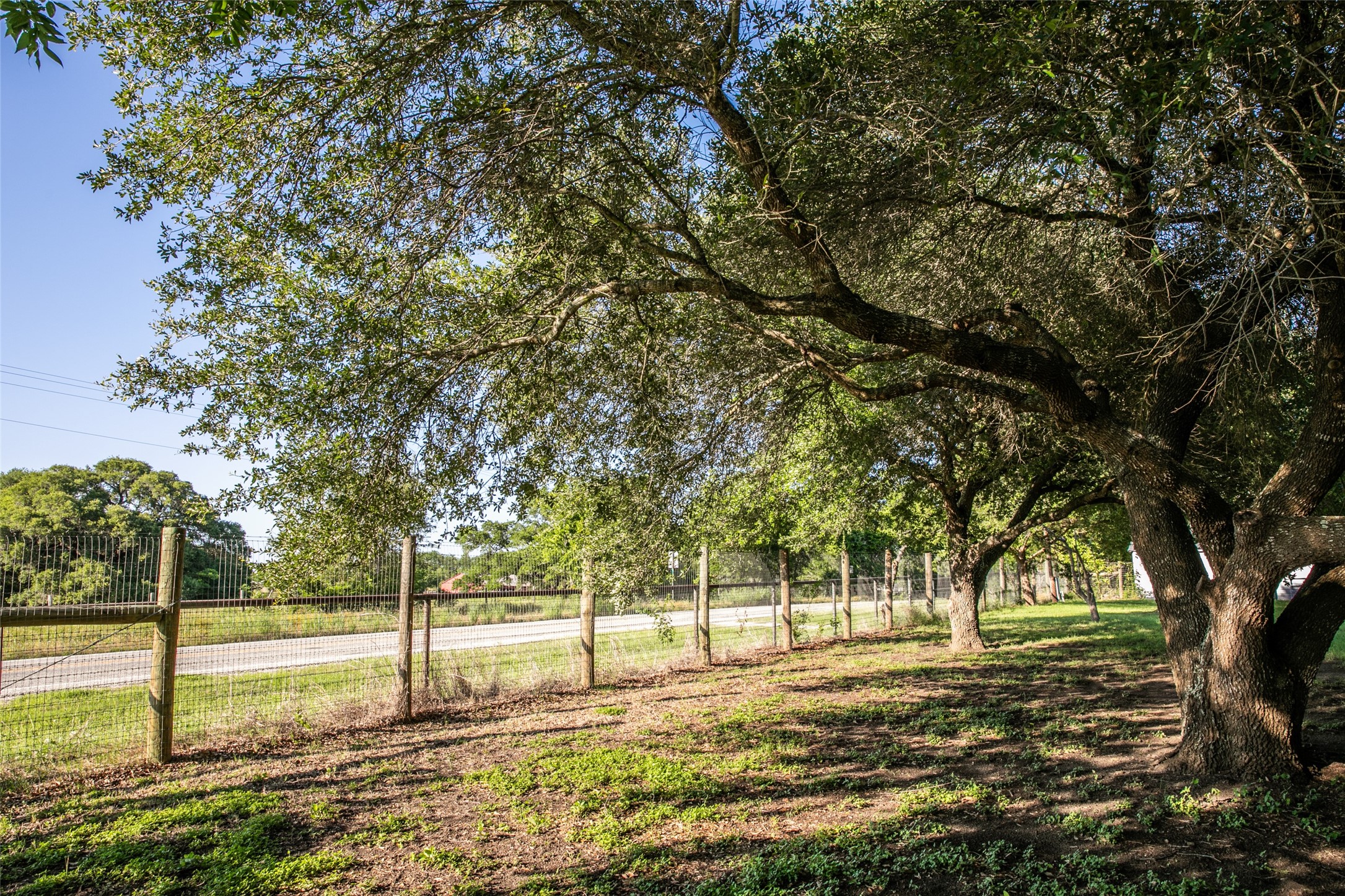 8660 Cedar Hill Road Brenham, TX 77833 - Photo 42 of 45