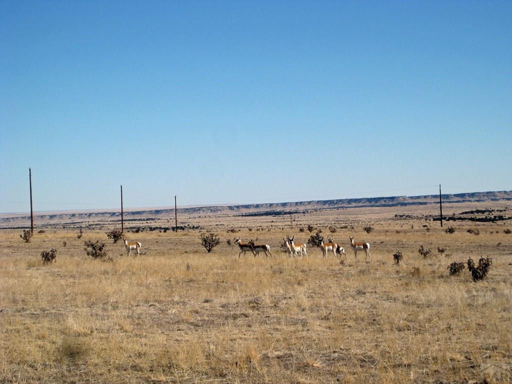 Lot 8 Wyatt Court Rye, CO 81069 - Photo 3 of 21