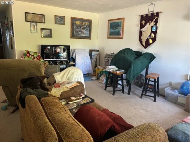 a living room with furniture and a chair