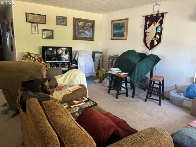 204 3rd Street La Grande, OR 97850 - Photo 2 of 12 a living room with furniture and a chair