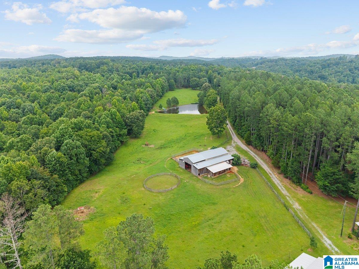 2040 Bud Mountain Road Blountsville, AL 35031 - Photo 43 of 47
