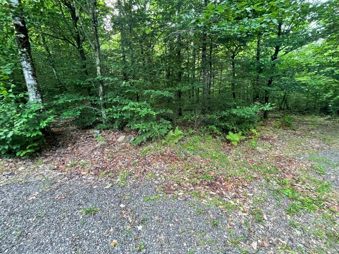 159 Meadow Road Corinth, ME 04427 - Photo 23 of 27 22
