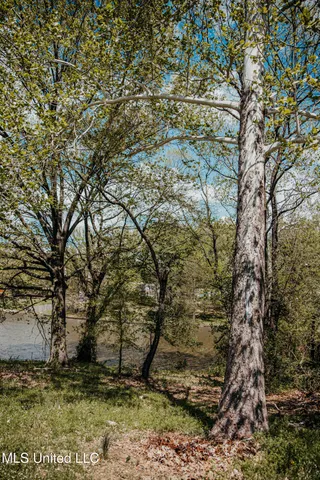 $35,000 | 1 Lakeshore Drive, Southaven, MS 38671